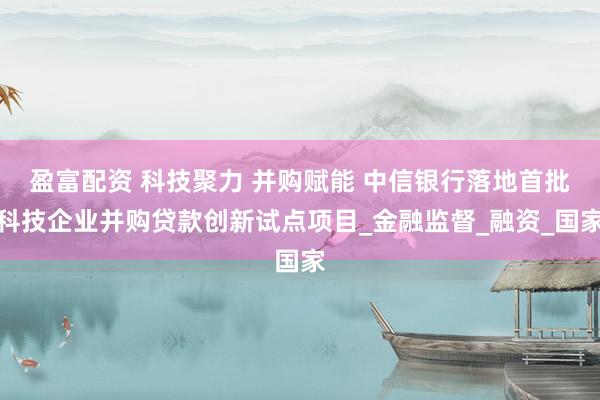 盈富配资 科技聚力 并购赋能 中信银行落地首批科技企业并购贷款创新试点项目_金融监督_融资_国家