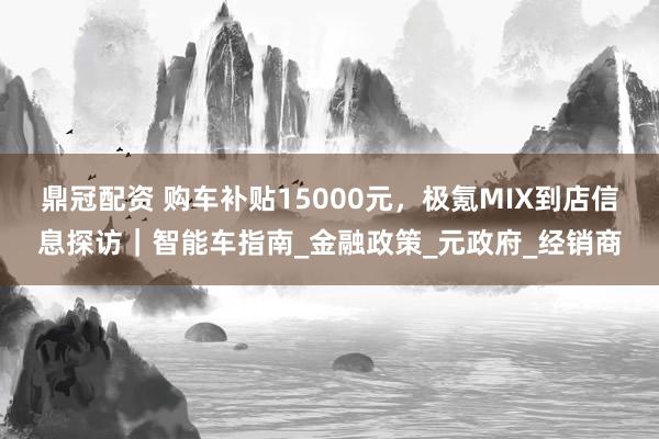 鼎冠配资 购车补贴15000元，极氪MIX到店信息探访｜智能车指南_金融政策_元政府_经销商