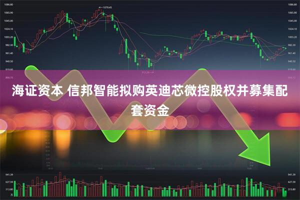 海证资本 信邦智能拟购英迪芯微控股权并募集配套资金